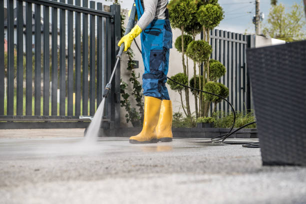 Best Graffiti Removal  in Hornell, NY